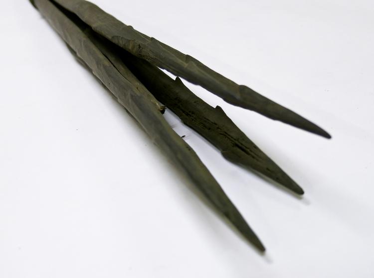 fish spear (spear (hunting, fishing & trapping)) - Horniman Museum