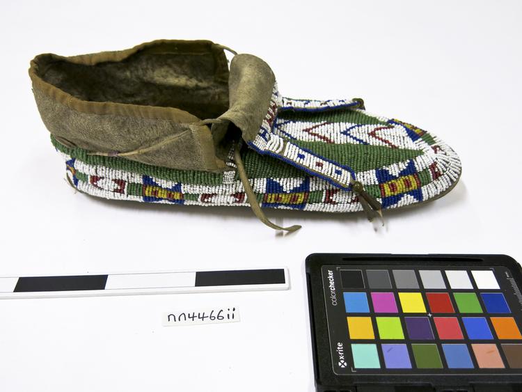 image of moccasin