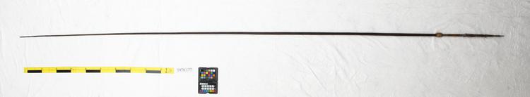 Image of fish spear (spear (hunting, fishing & trapping))