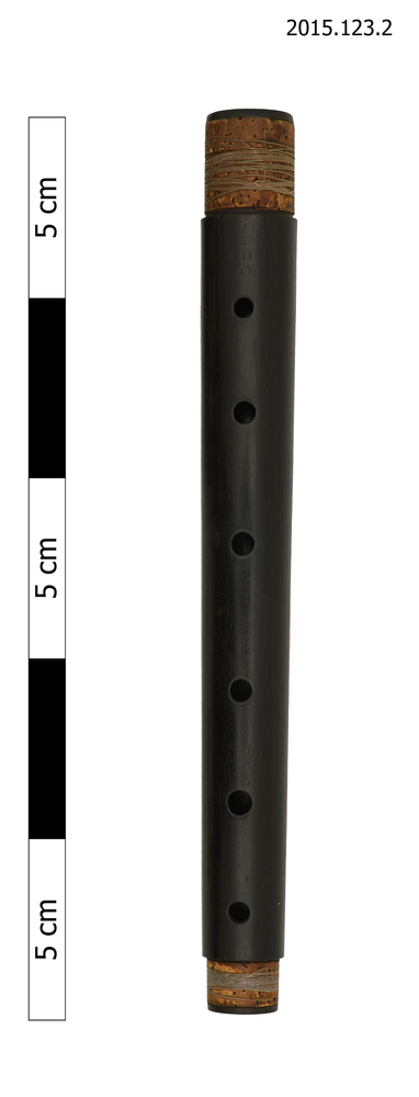 Image of treble recorder