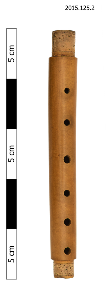 Image of treble recorder