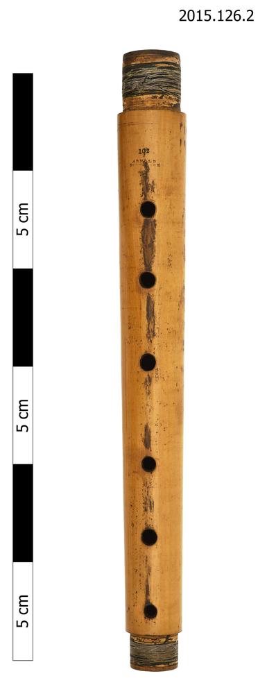 image of tenor recorder