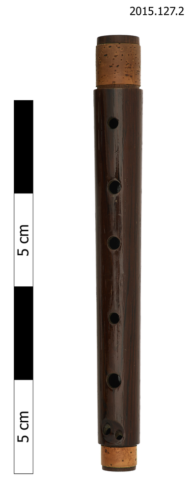 Image of treble recorder