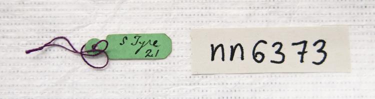 General view of label of Horniman Museum object no nn6373