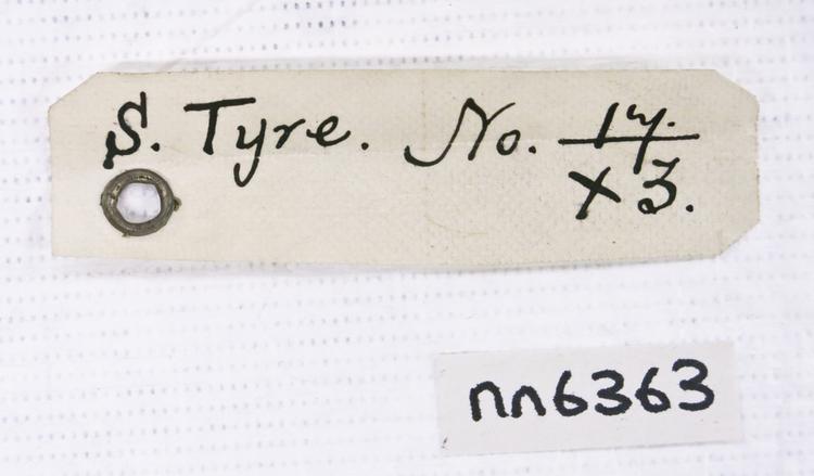 General view of label of Horniman Museum object no nn6363