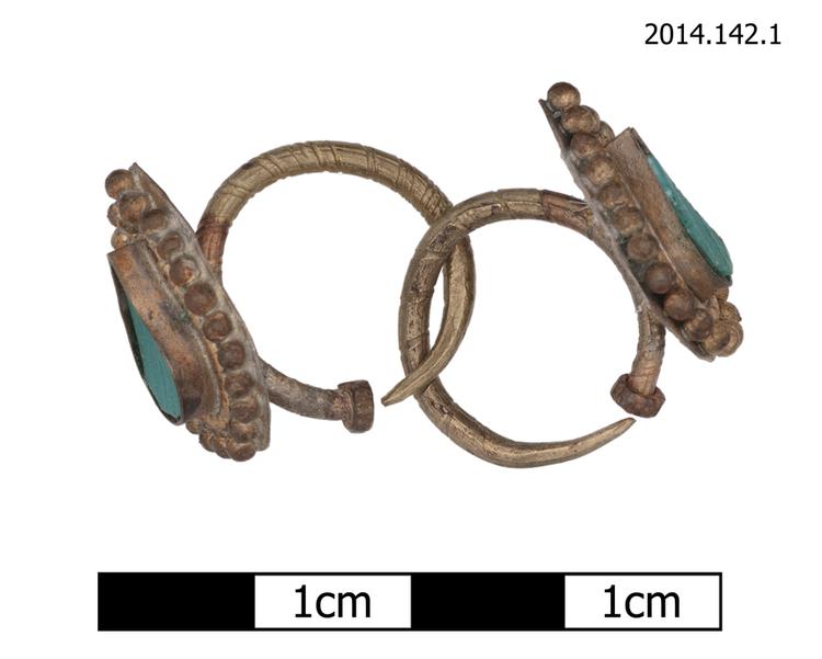 Image of earrings