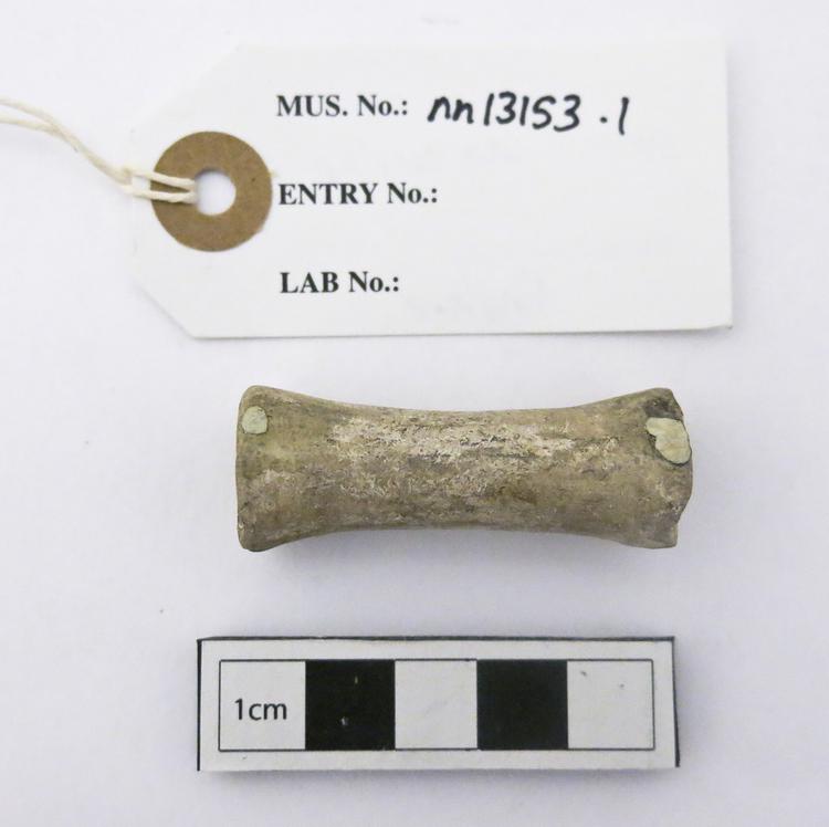 image of General view of whole of Horniman Museum object no nn13153.1