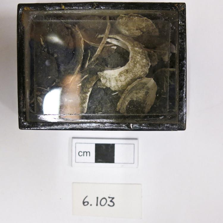 image of General view of whole of Horniman Museum object no 6.103