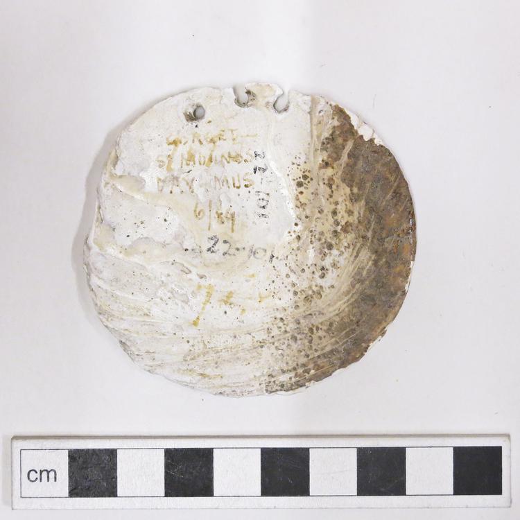 Image of neck ornament (personal adornment)