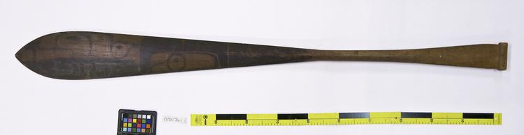 Image of canoe paddle