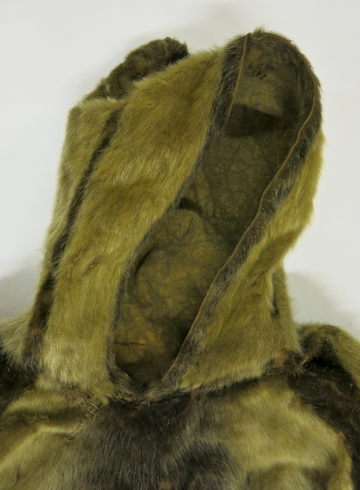 Detail view of hood of Horniman Museum object no 6.12.65/592