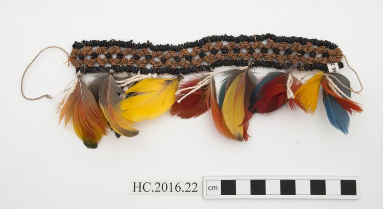 General view of whole of Horniman Museum object no HC.2016.22