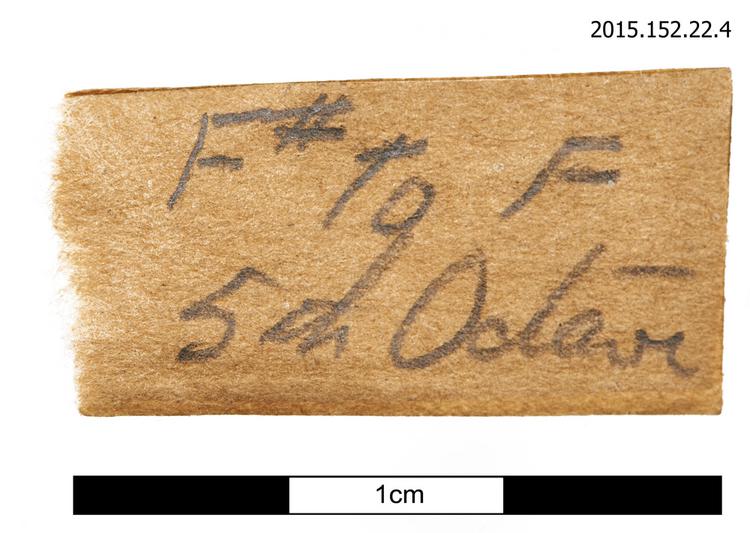 General view of spare strings of Horniman Museum object no 2015.152.22.4
