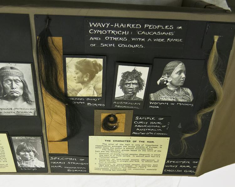 General view of whole of Horniman Museum object no 24.67