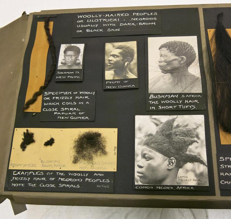 General view of whole of Horniman Museum object no 24.66