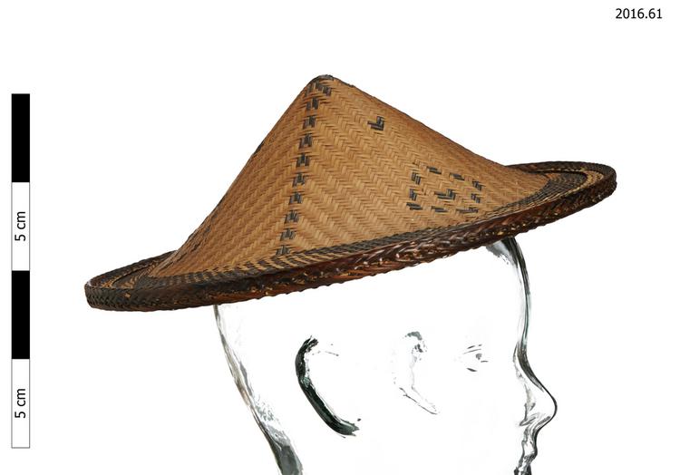 hat (clothing: headwear)