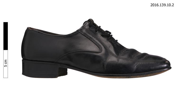 shoe (clothing: footwear)