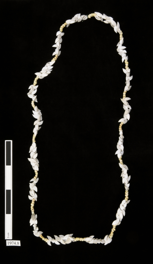 Image of necklace (neck ornament (personal adornment))