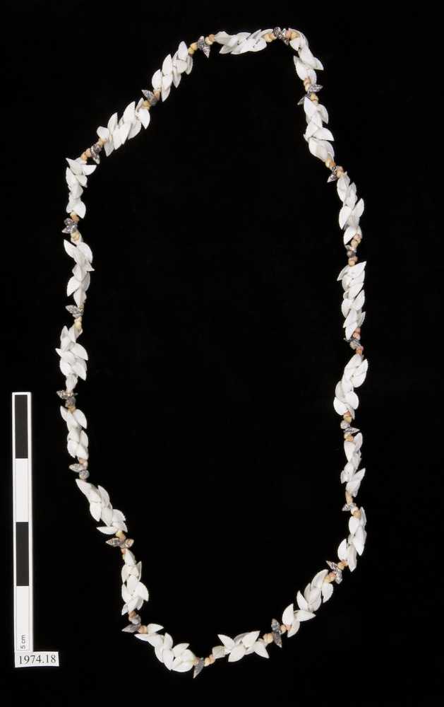 Image of necklace (neck ornament (personal adornment))