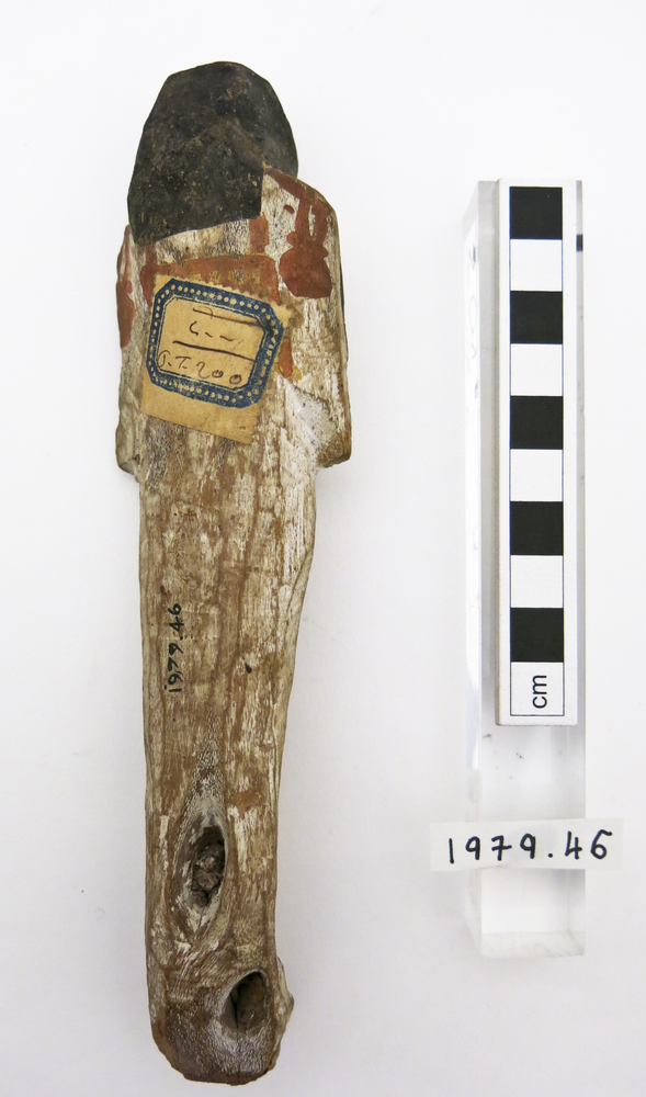 General view of whole of Horniman Museum object no 1979.46