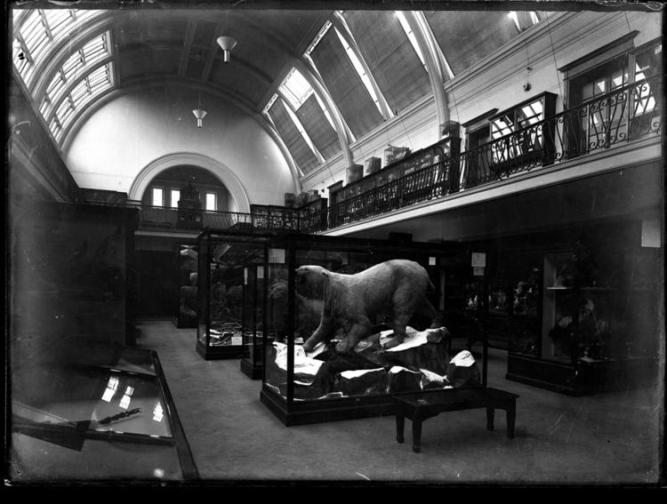 Front view of whole of Horniman Museum object no ARC/HMG/PH/GPL/006