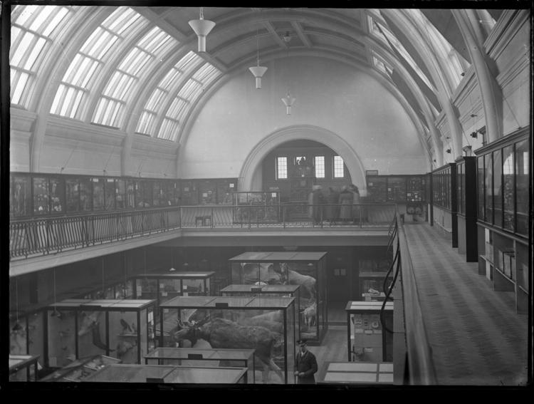 Front view of whole of Horniman Museum object no ARC/HMG/PH/GPL/013