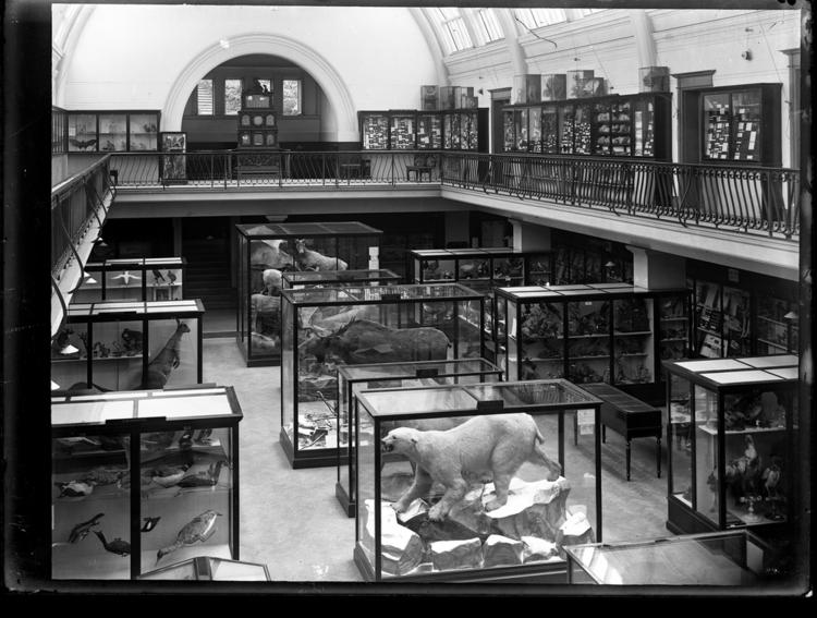 Front view of whole of Horniman Museum object no ARC/HMG/PH/GPL/014