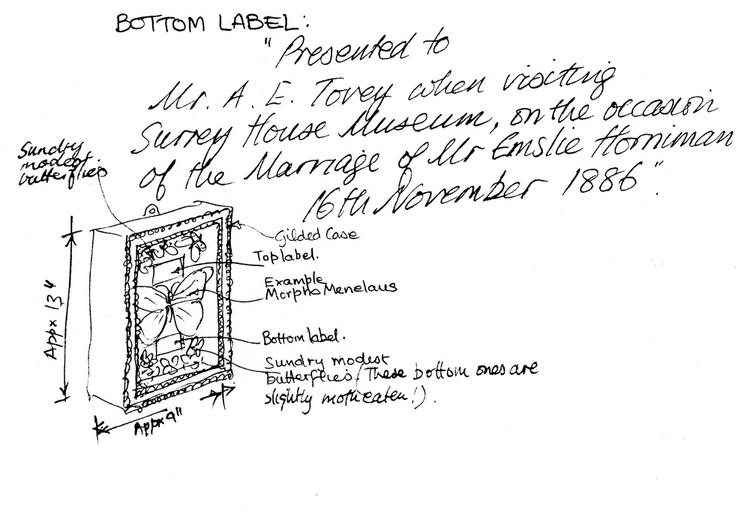 Front view of part of Horniman Museum object no ARC/HMG/HOR/010/007