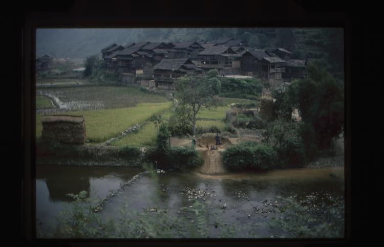 Image of 35mm slide: River scene