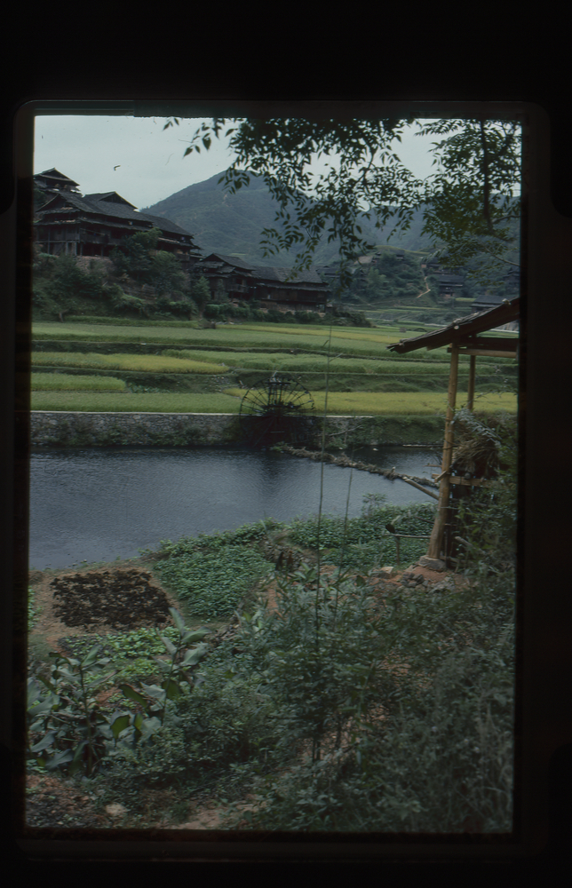 Image of 35mm slide: River