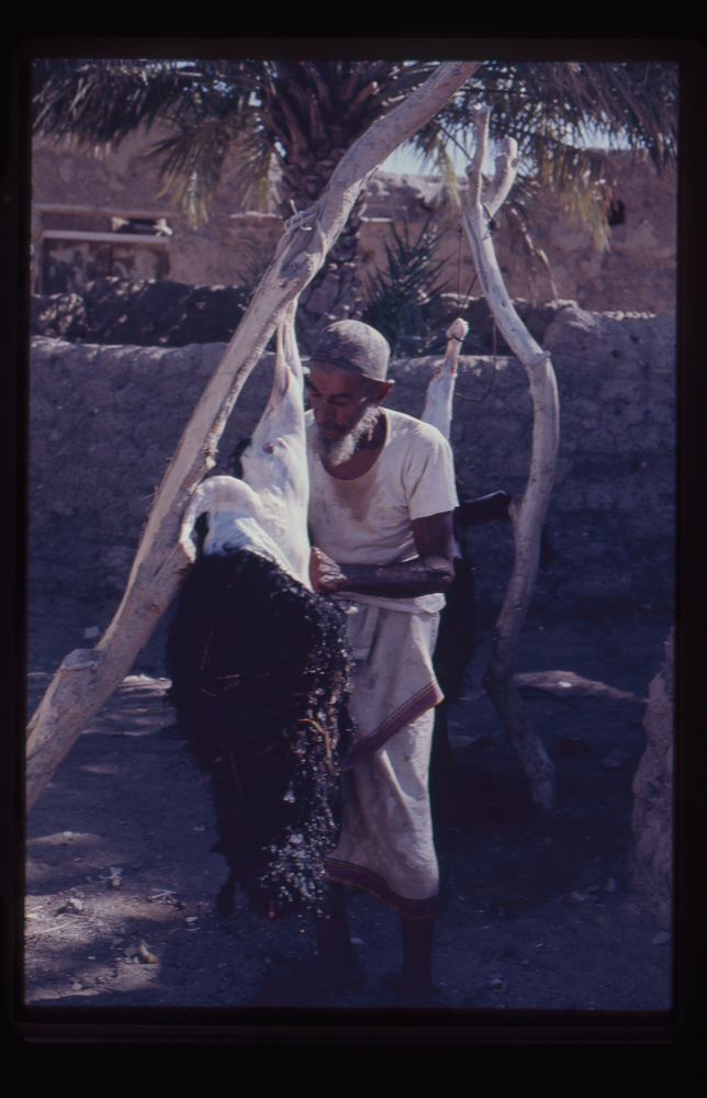 Slides taken in Muscat, Oman by Ann Douthwaite, 1973-1976
