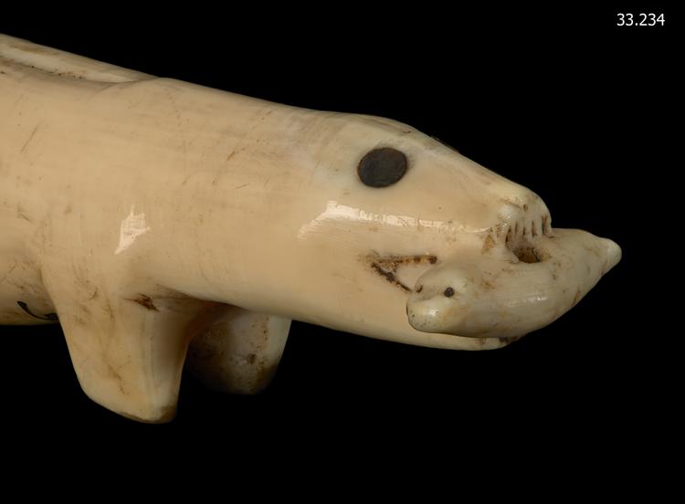 Detail view of head holding cub of Horniman Museum object no 33.234