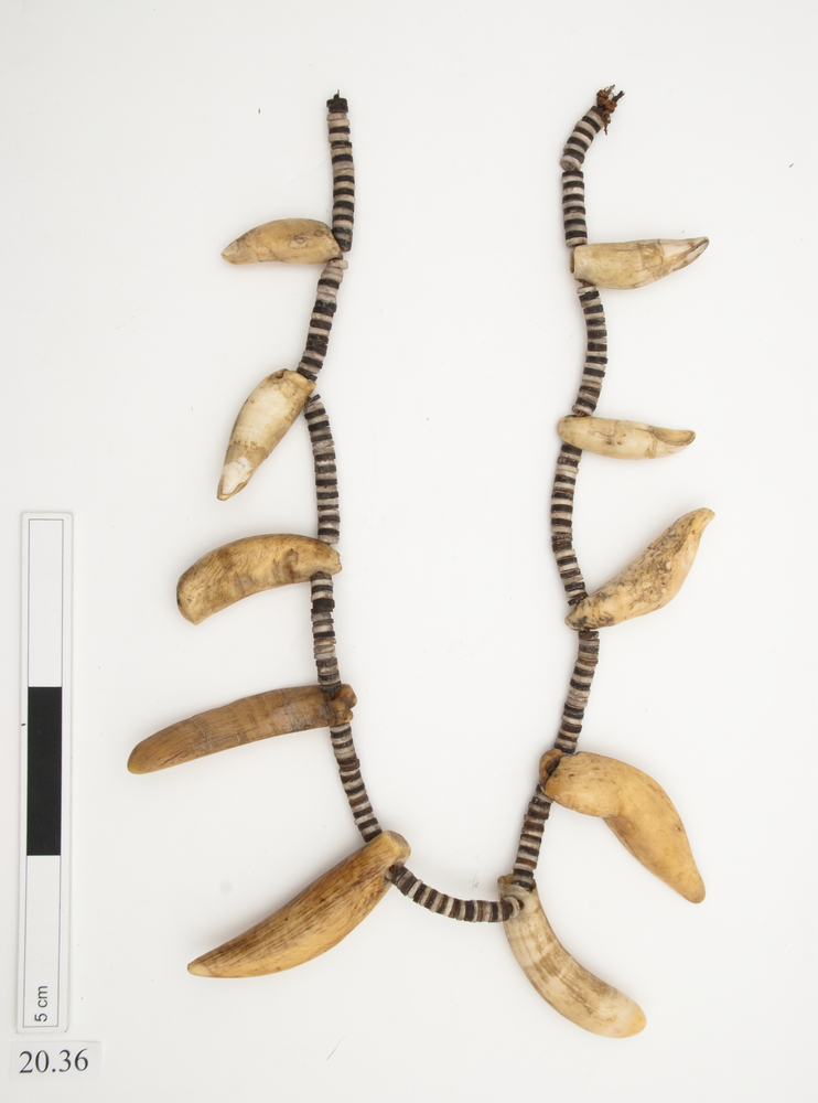 Image of necklace (neck ornament (personal adornment))
