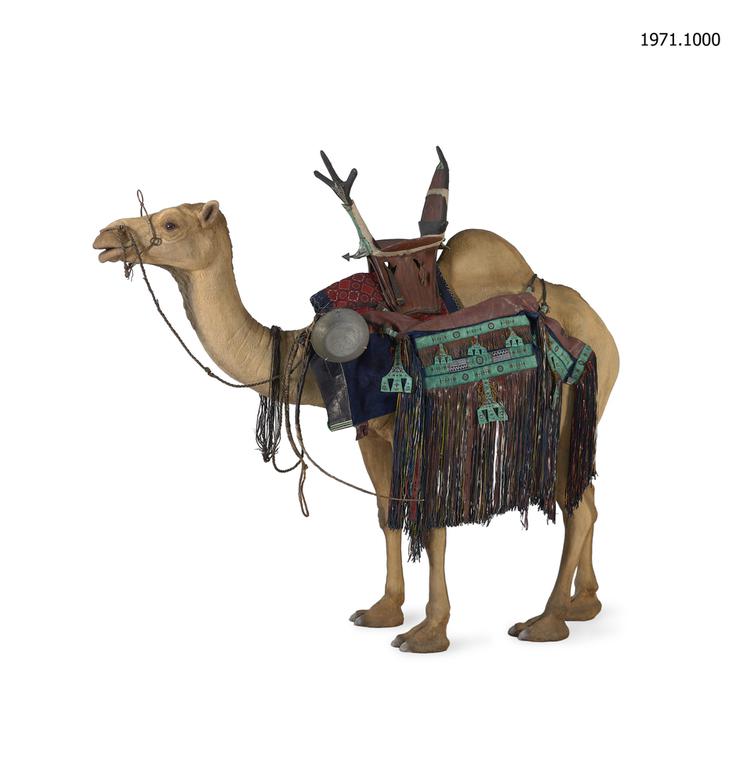 Image of Tuareg camel fittings (World Gallery - Additional information)