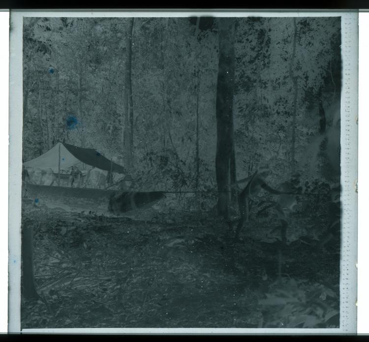 Image of Black and white negative of men pulling finished canoe through forest next to tents