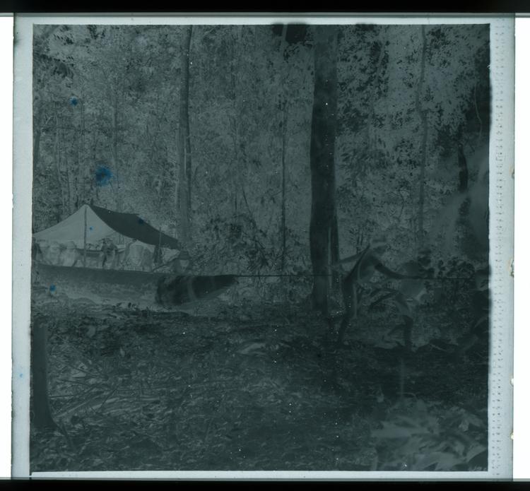 Image of Black and white negative of men pulling finished canoe through forest next to tents