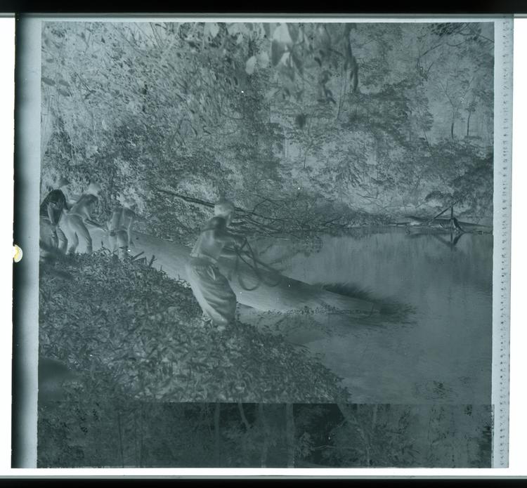 Image of Black and white negative of  Wai Wai tribe members lowering canoe into water on riverbank