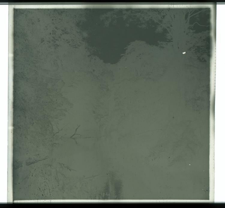 Image of Black and white negative of river closed in by trees