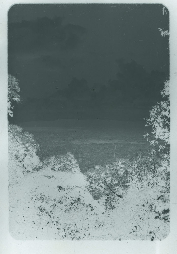 image of Black and white negative long view of forest with clouds