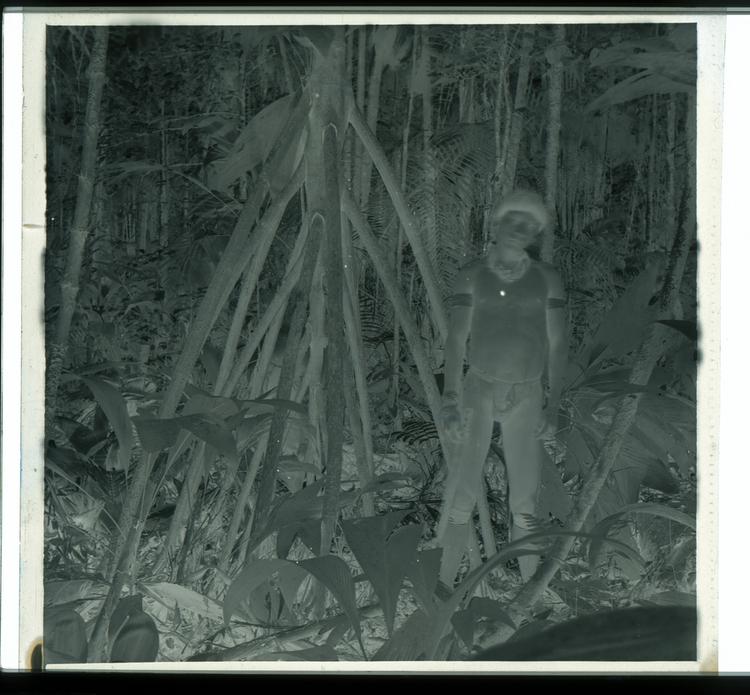 image of Black and white negative of Wai Wai tribe member among trees next to intricate tree trunk