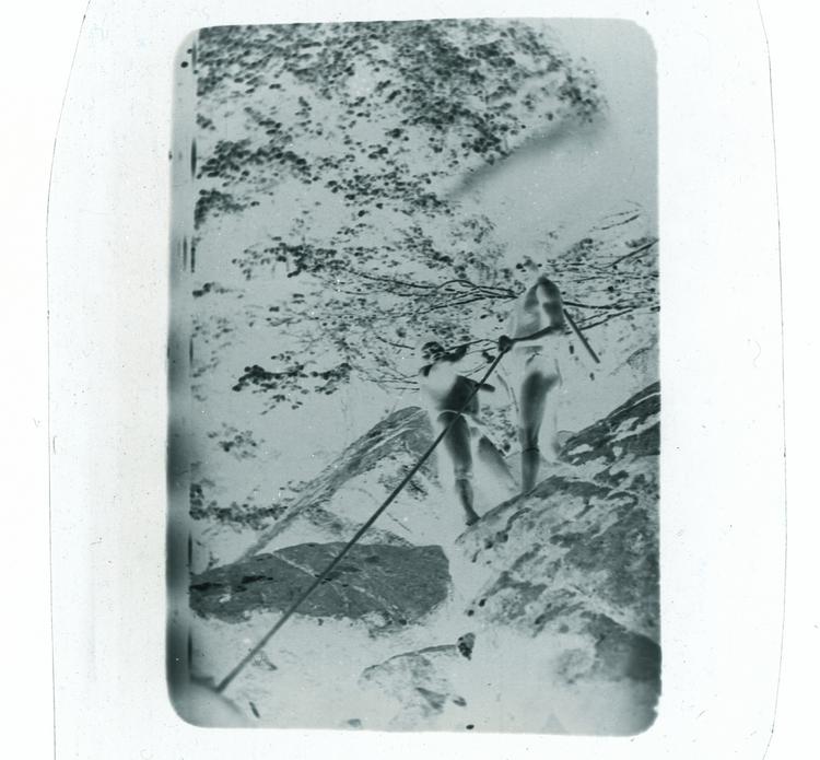 Image of Black and white negative of two young Wai Wai standing up on high rocks pulling a rope