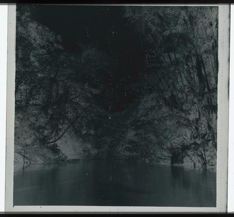 Image of Black and white negative of tree-enclosed river view