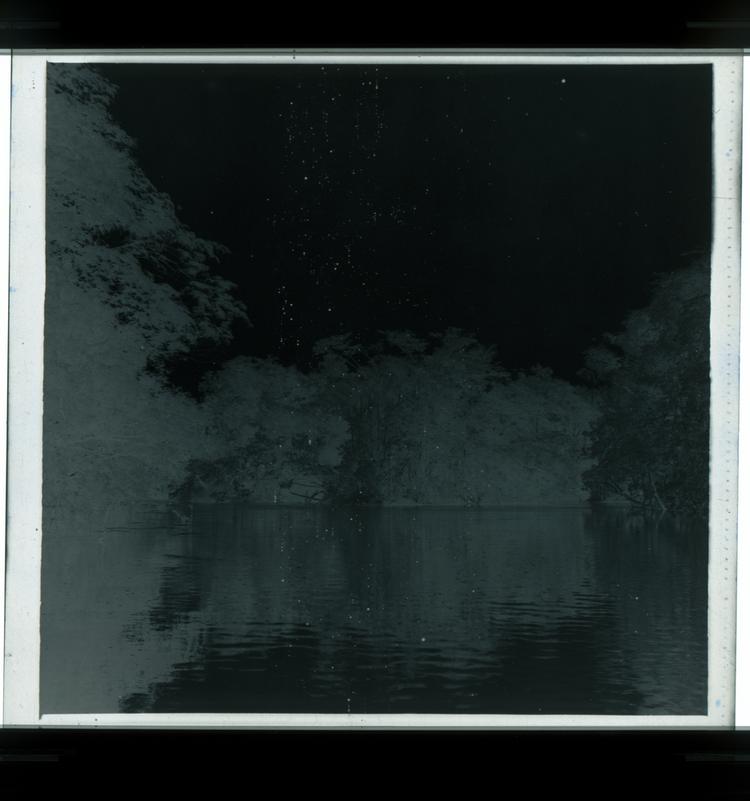 Image of Black and white negative of tree-enclosed river view