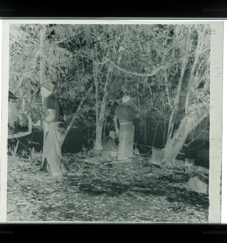 image of Black and white negative of expedition members standing/sitting in shade of trees on banks of river eating lunch
