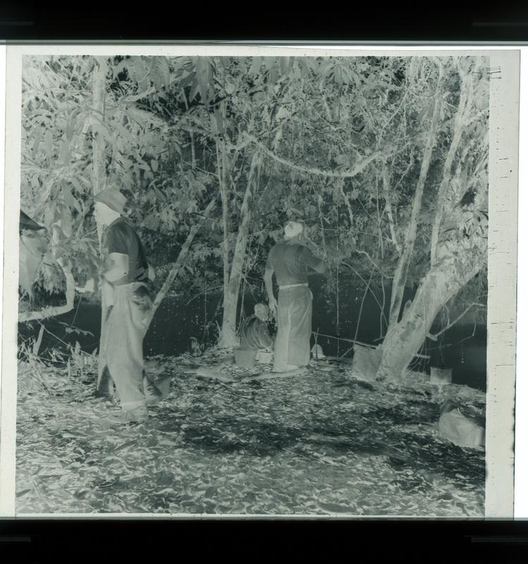 Image of Black and white negative of expedition members standing/sitting in shade of trees on banks of river eating lunch