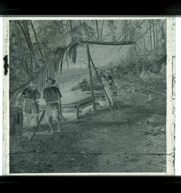 Image of Black and white negative of men working with poles under a palm hut in the forest