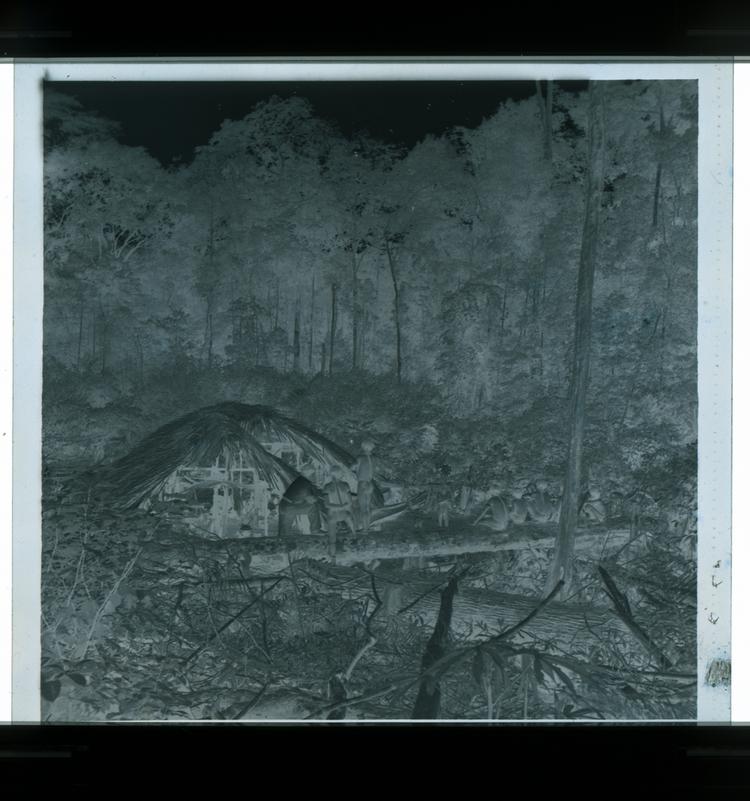 Image of Black and white negative of Wai Wai tribe members and expedition members on fallen log benches surround opening in forest with grass huts