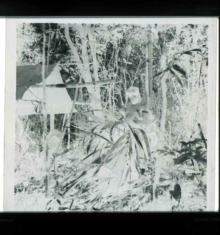 Image of Black and white negative of Wai Wai tribe members stripping bark in forest next to canvas-covered hut