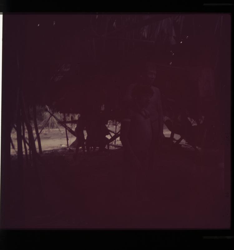 Image of Colour positive film of Wai Wai tribe members standing under grass hut