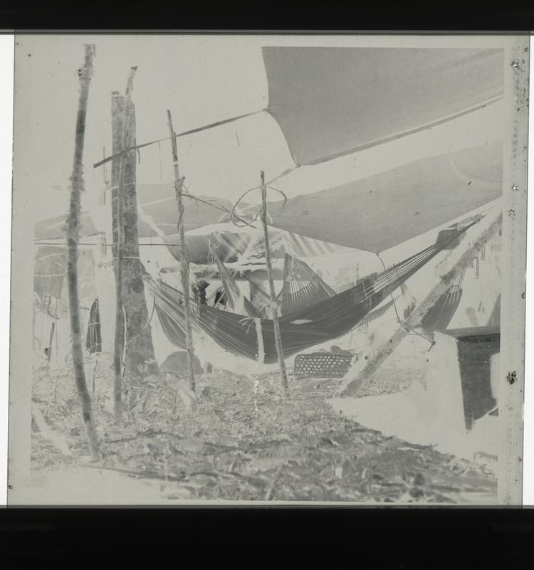 Image of Black and white negative of hanging hammocks in camp among huts